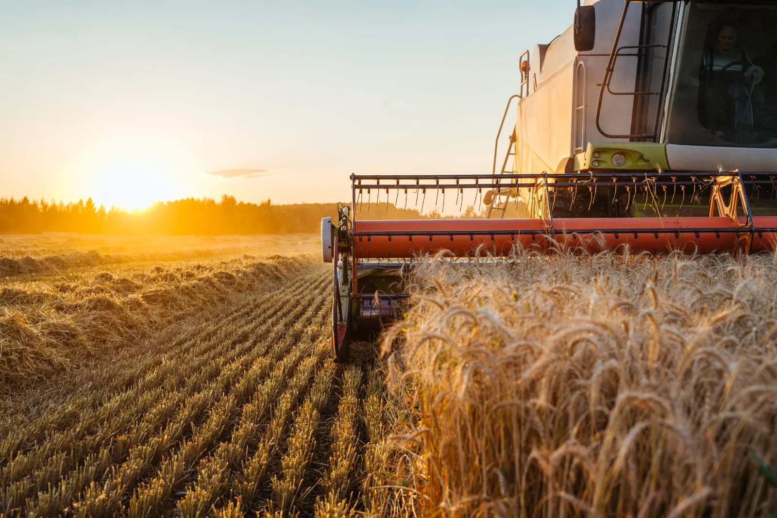 Agriculture & Water